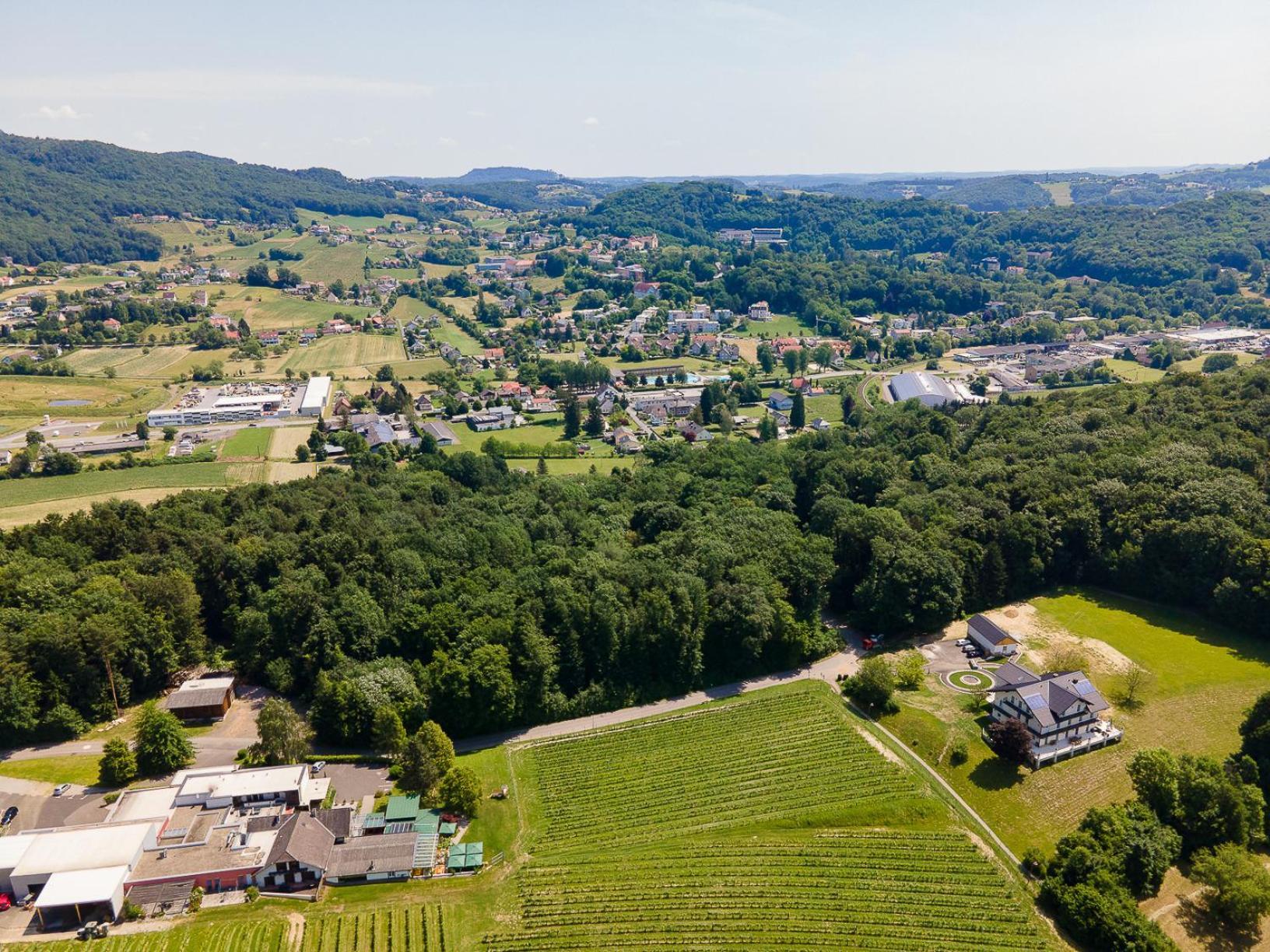 Residenz Styrian Toskana Splendid バート・グライヒェンベルク エクステリア 写真
